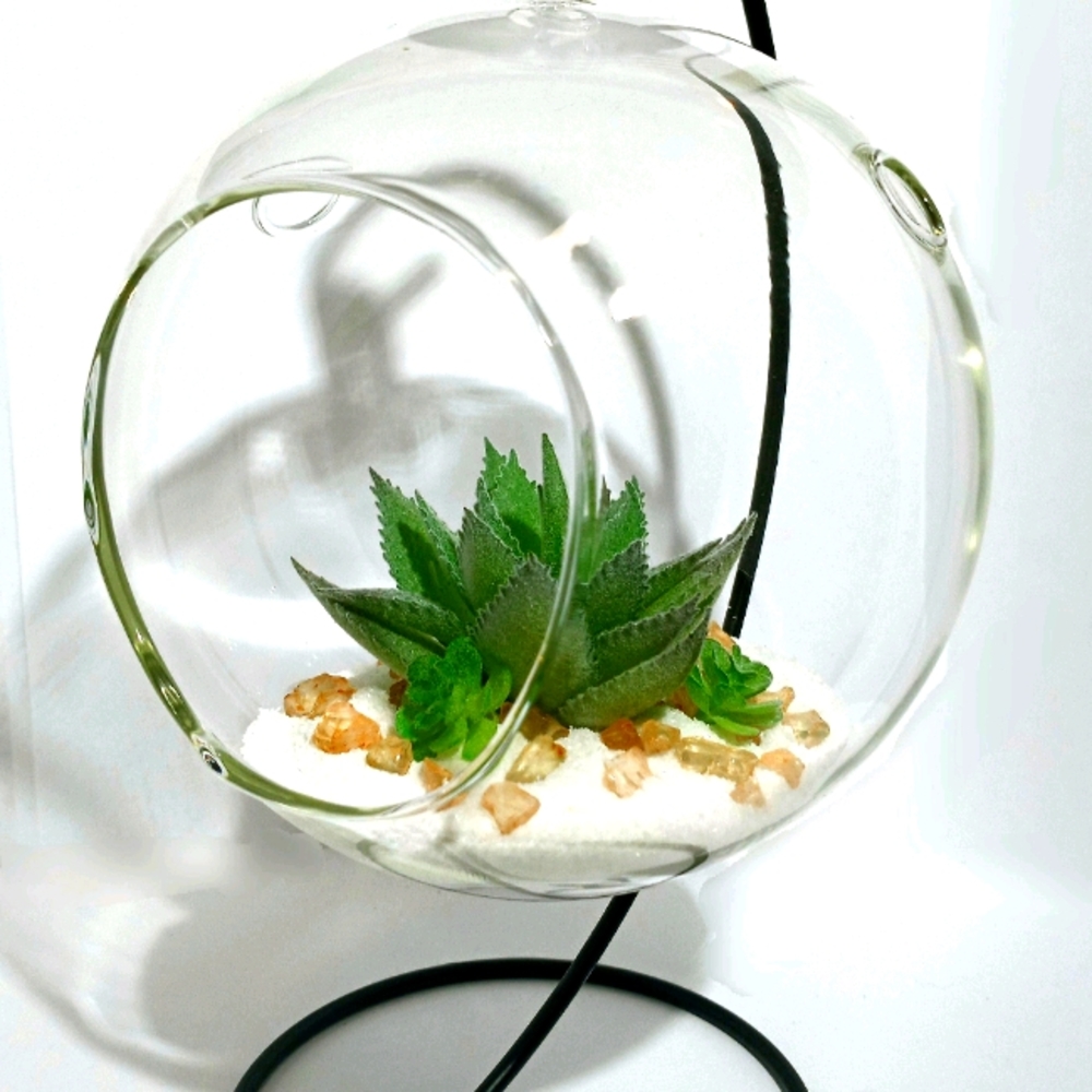 Suspending Succulent Globe Display